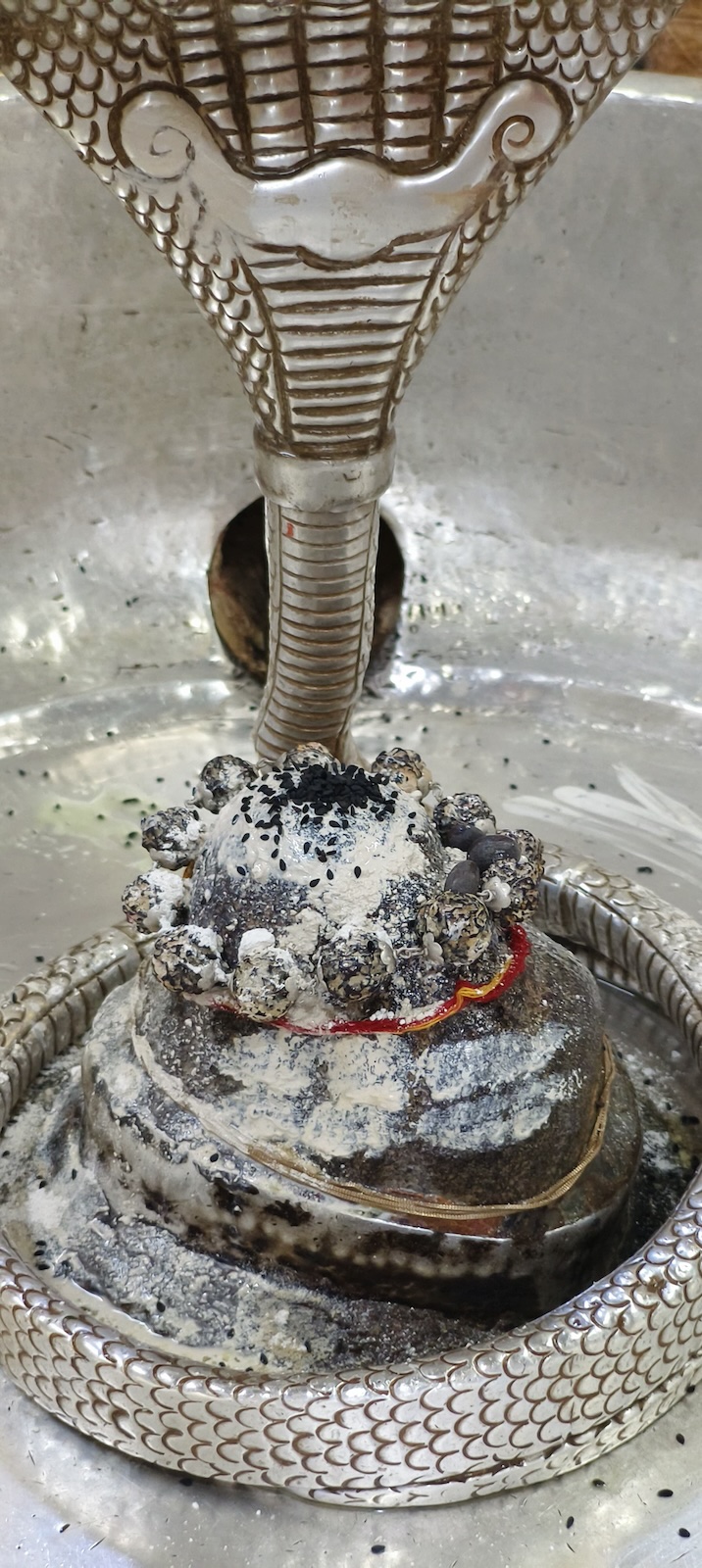 Rudrabhishek to Shree Kubereshwar Mahadev