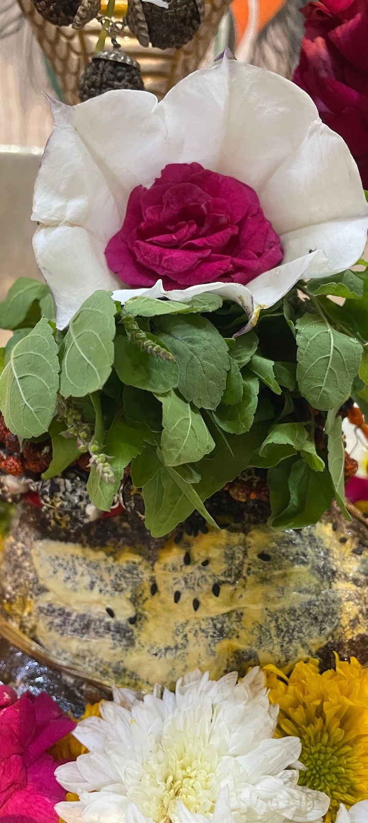 Rudrabhishek to Shree Kubereshwar Mahadev