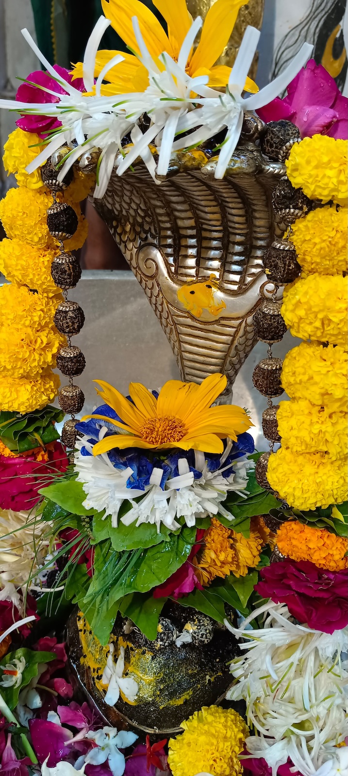 Rudrabhishek to Shree Kubereshwar Mahadev