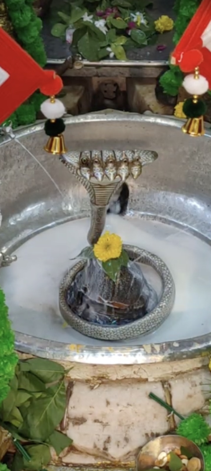 Rudrabhishek to Shree Kubereshwar Mahadev