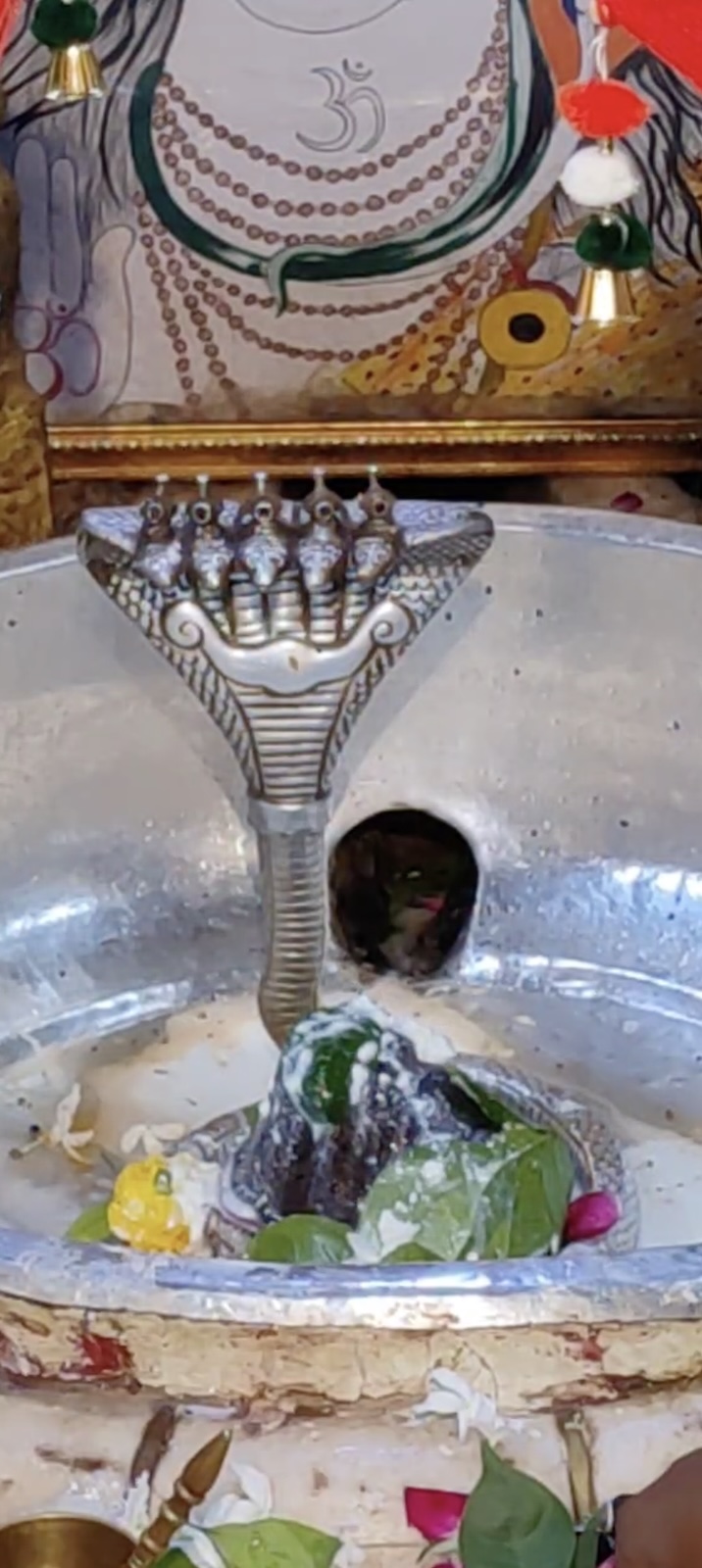 Rudrabhishek to Shree Kubereshwar Mahadev