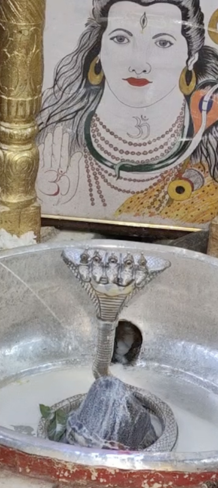 Rudrabhishek to Shree Kubereshwar Mahadev