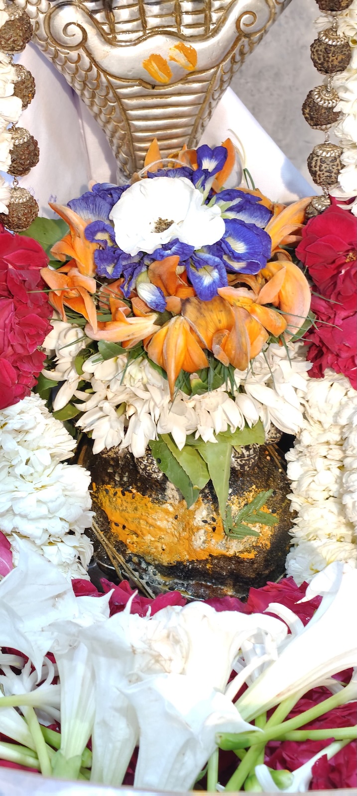 Rudrabhishek to Shree Kubereshwar Mahadev