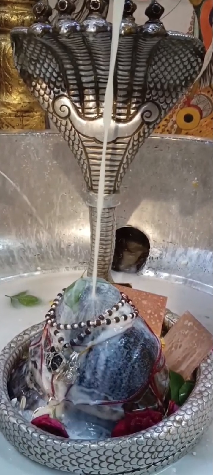 Rudrabhishek to Shree Kubereshwar Mahadev