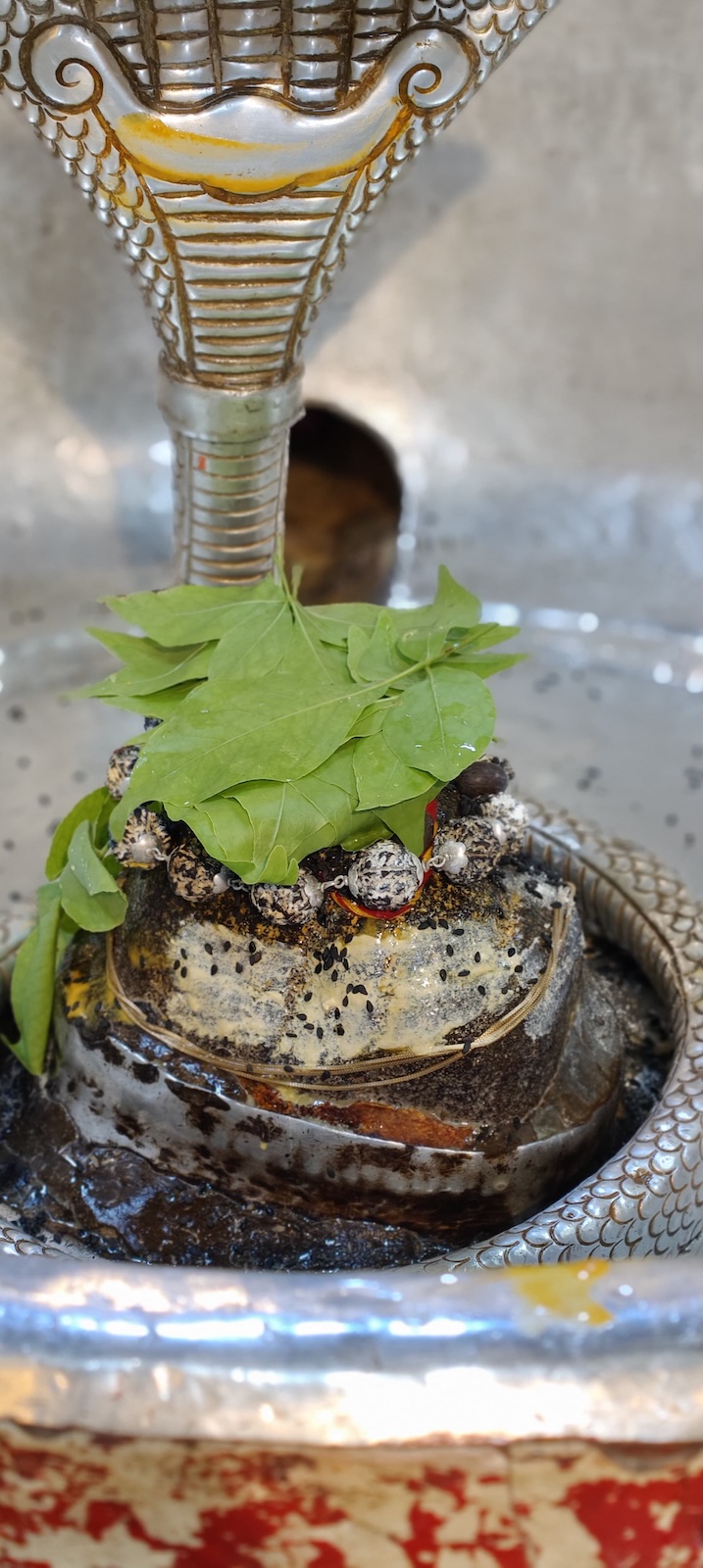 Rudrabhishek to Shree Kubereshwar Mahadev