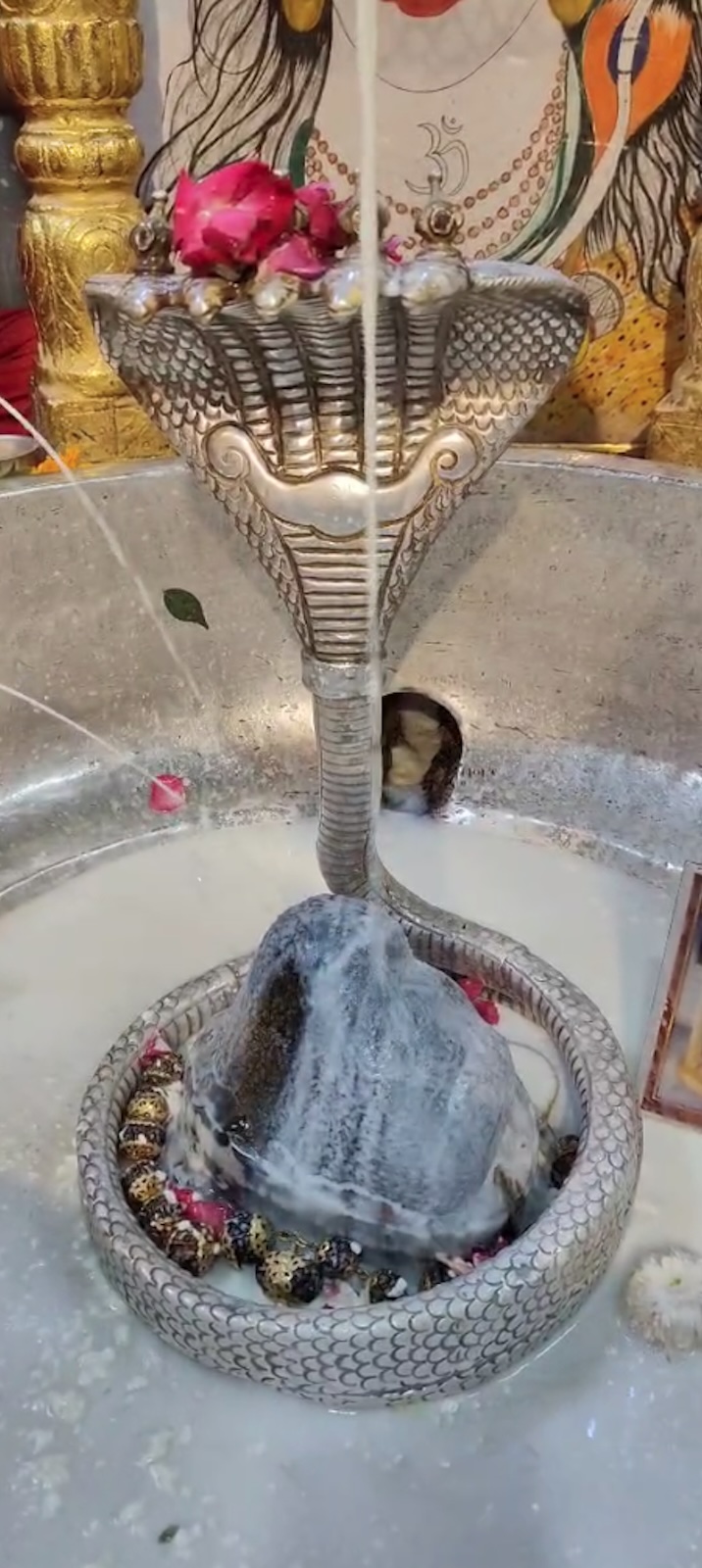 Rudrabhishek to Shree Kubereshwar Mahadev