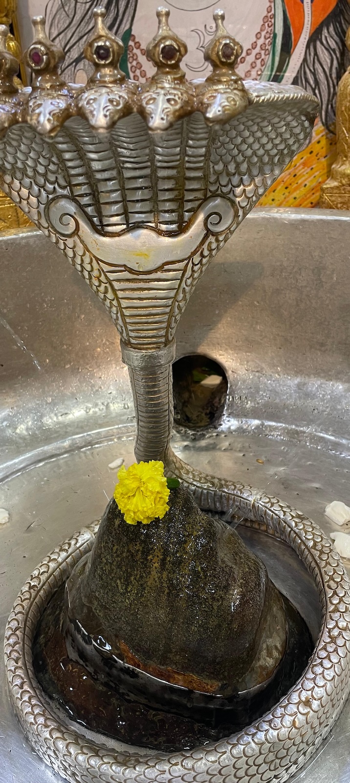 Rudrabhishek to Shree Kubereshwar Mahadev