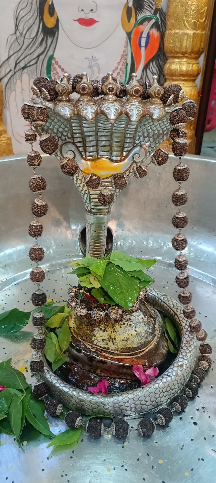 Rudrabhishek to Shree Kubereshwar Mahadev