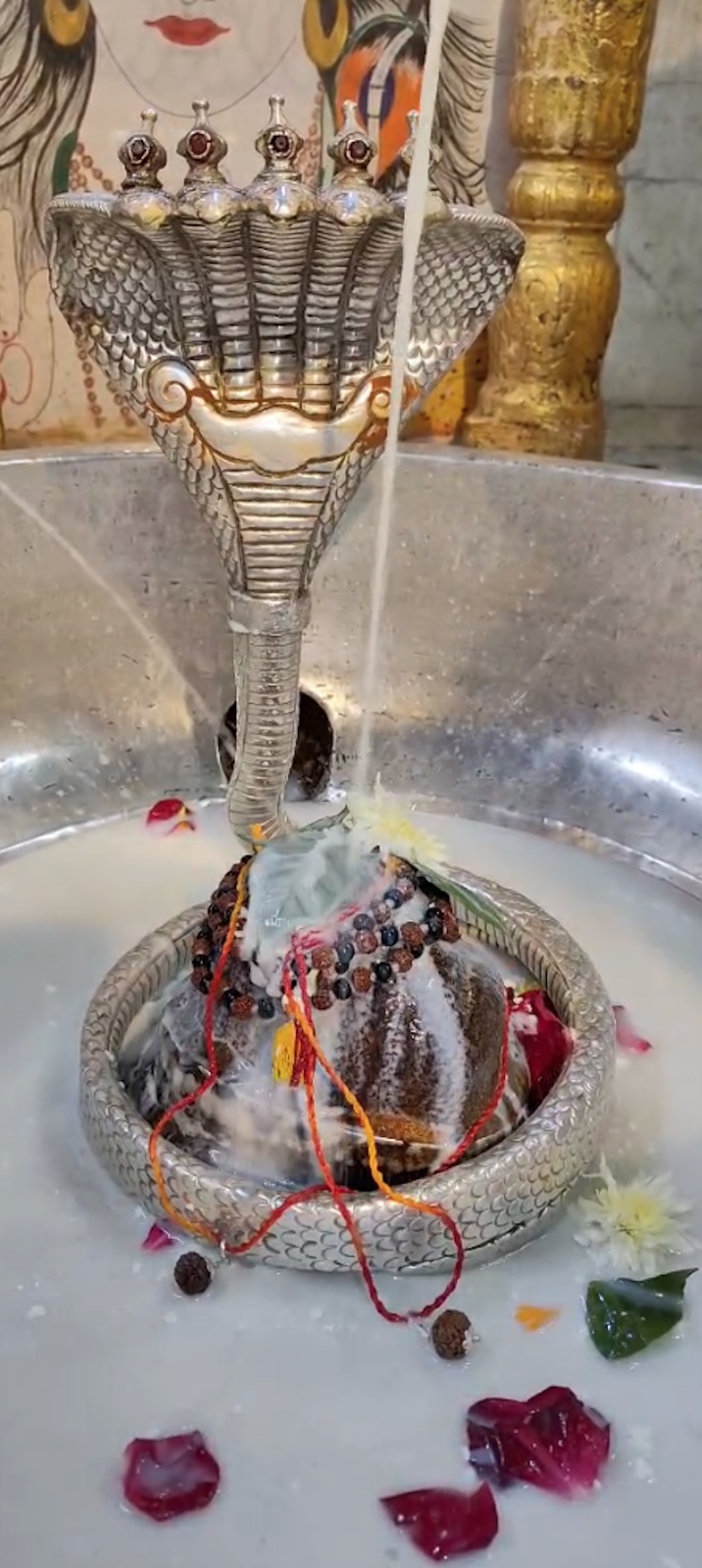 Rudrabhishek to Shree Kubereshwar Mahadev