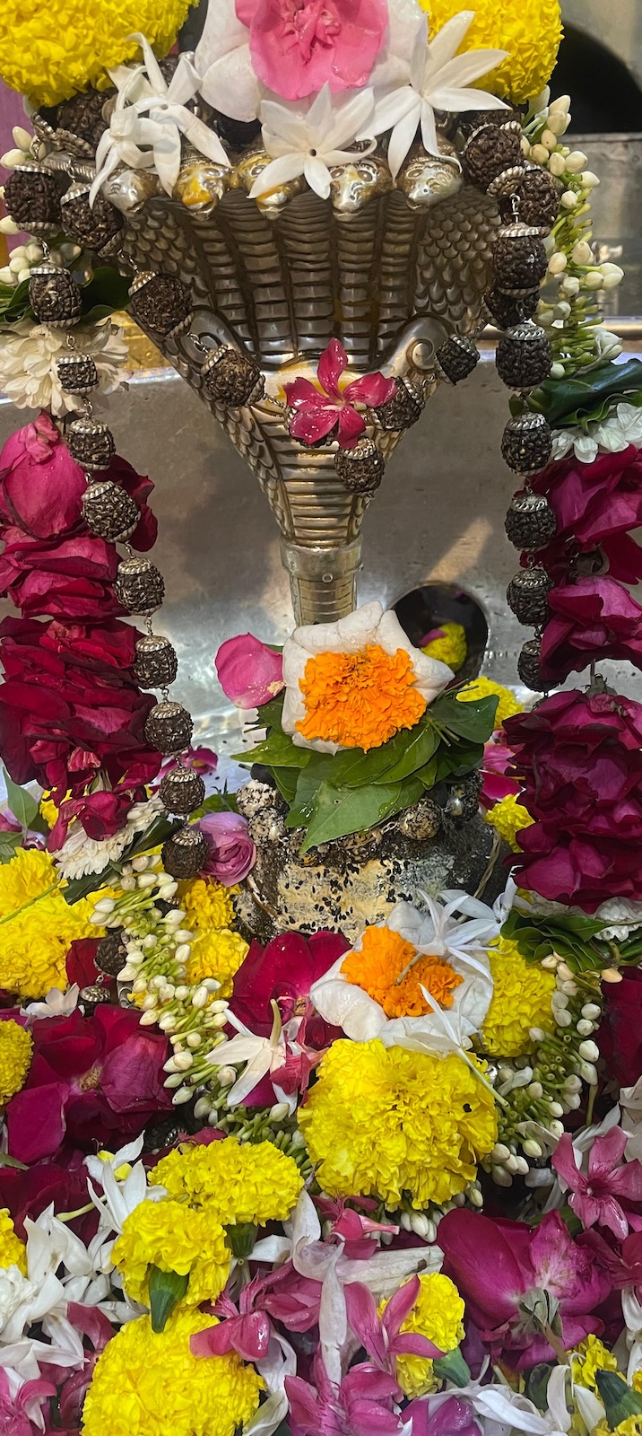 Rudrabhishek to Shree Kubereshwar Mahadev