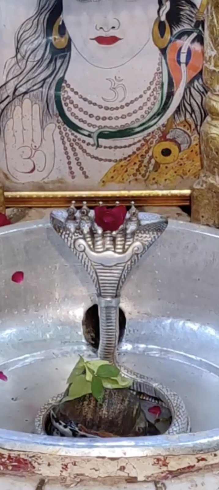 Rudrabhishek to Shree Kubereshwar Mahadev