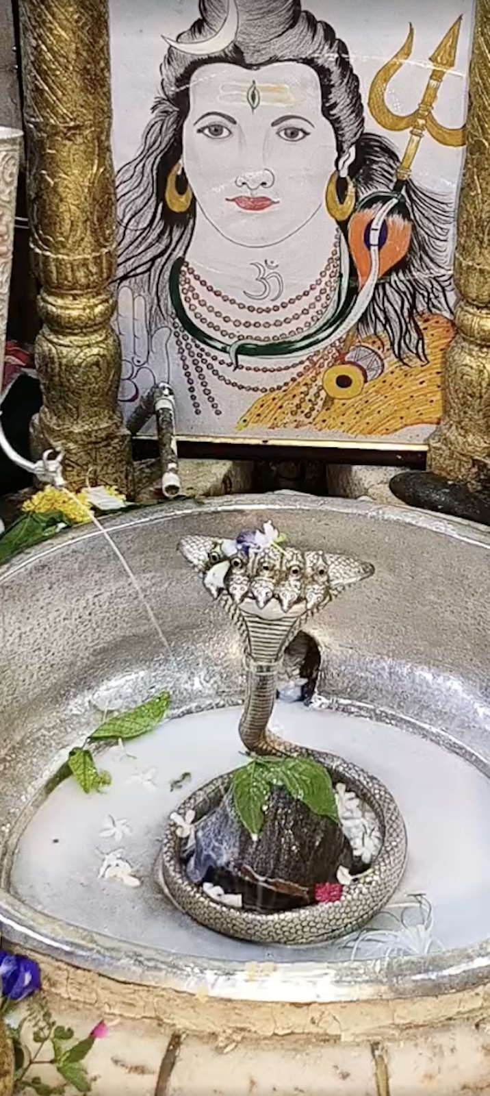 Rudrabhishek to Shree Kubereshwar Mahadev