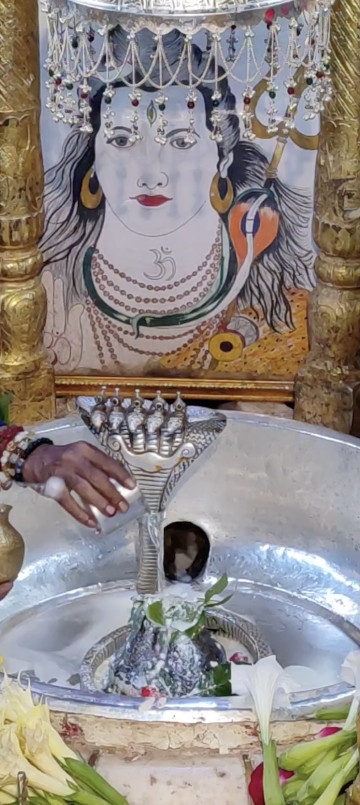 Rudrabhishek to Shree Kubereshwar Mahadev