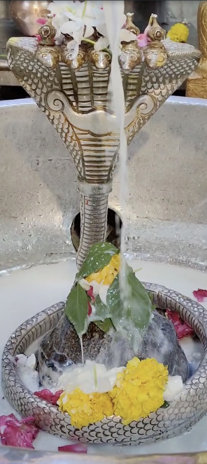 Rudrabhishek to Shree Kubereshwar Mahadev