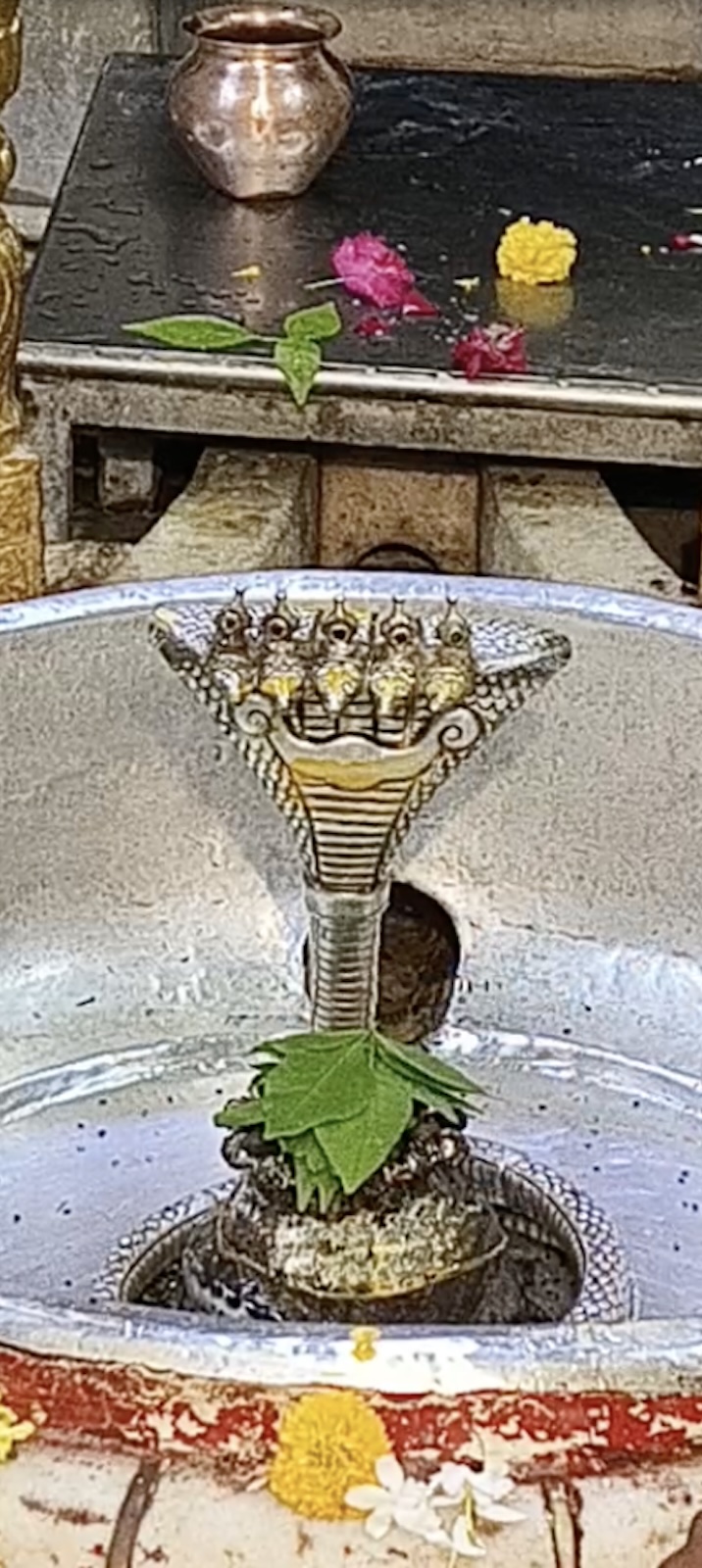 Rudrabhishek to Shree Kubereshwar Mahadev