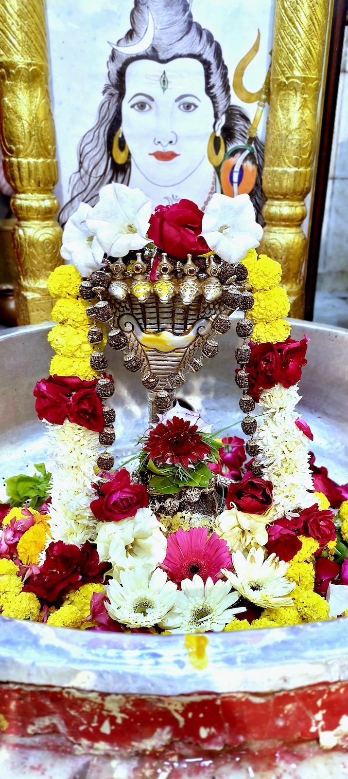 Rudrabhishek to Shree Kubereshwar Mahadev