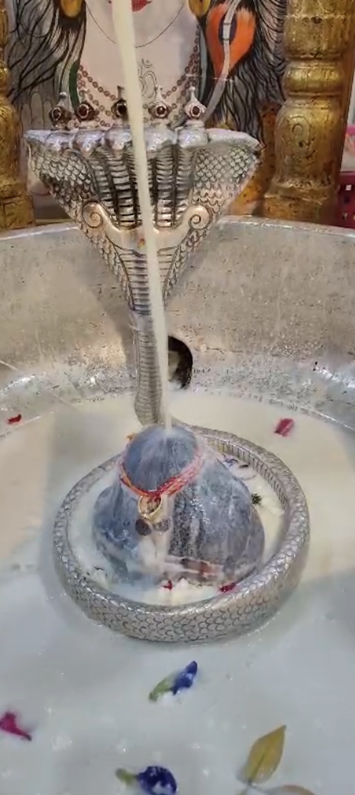 Rudrabhishek to Shree Kubereshwar Mahadev