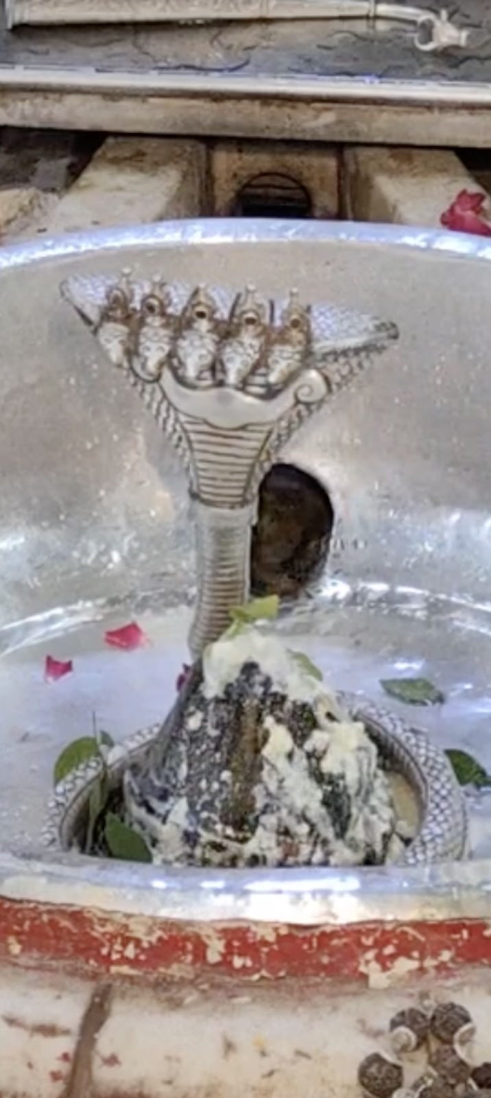 Rudrabhishek to Shree Kubereshwar Mahadev