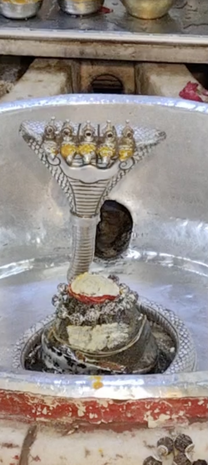 Rudrabhishek to Shree Kubereshwar Mahadev