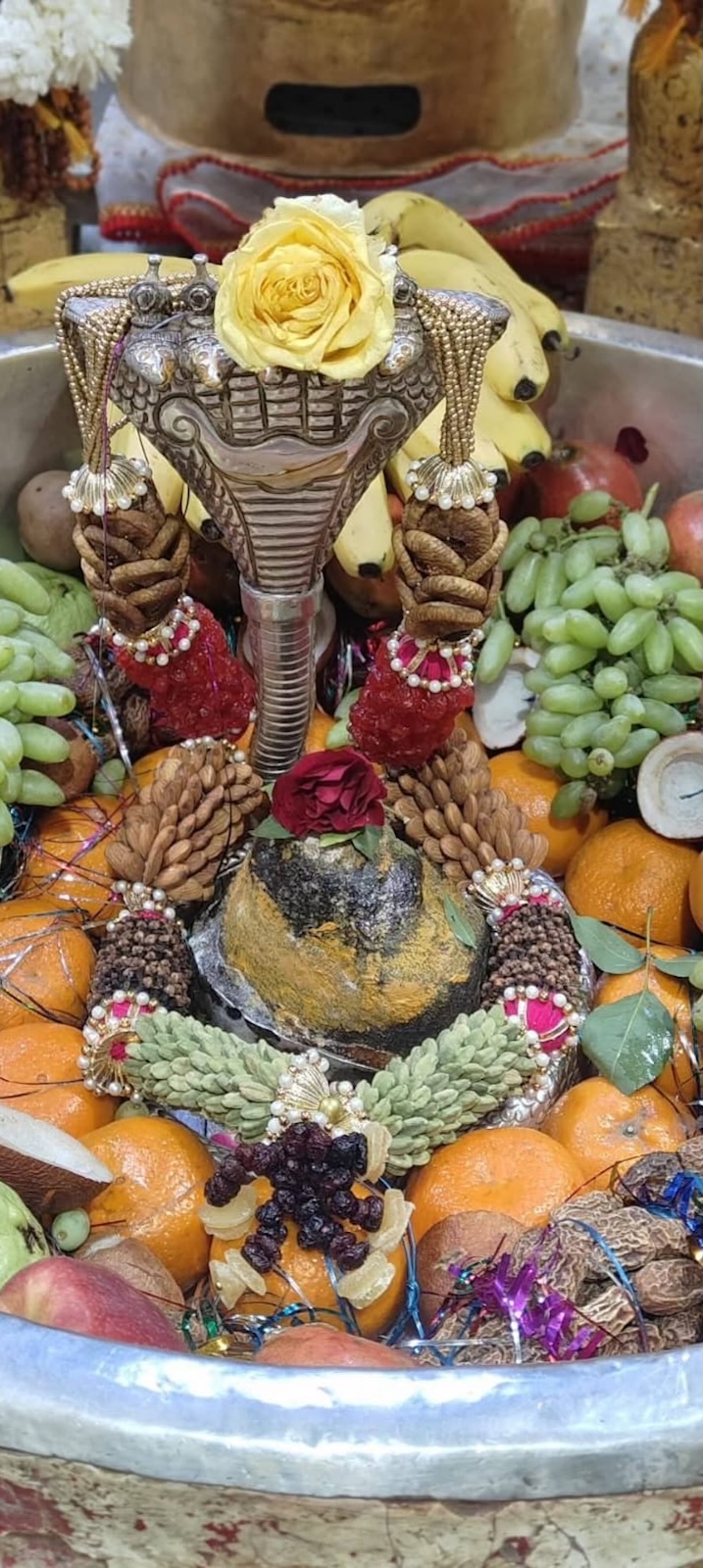 Rudrabhishek to Shree Kubereshwar Mahadev