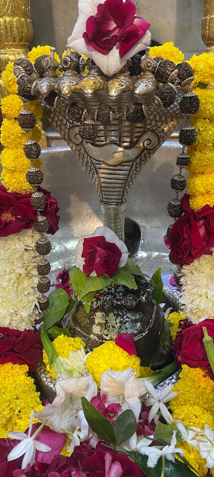 Rudrabhishek to Shree Kubereshwar Mahadev