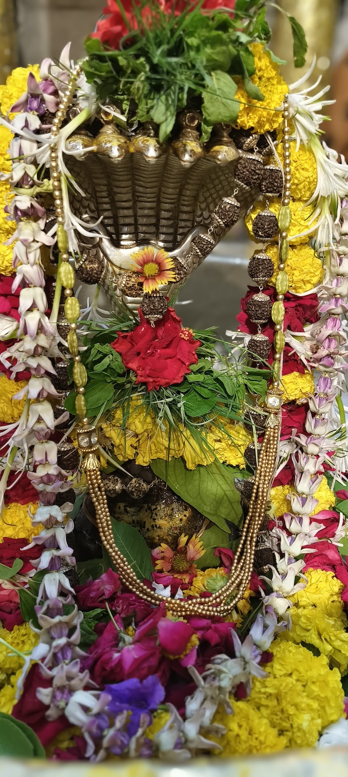 Shangar Darshan Shree Kubereshwar Mahadev