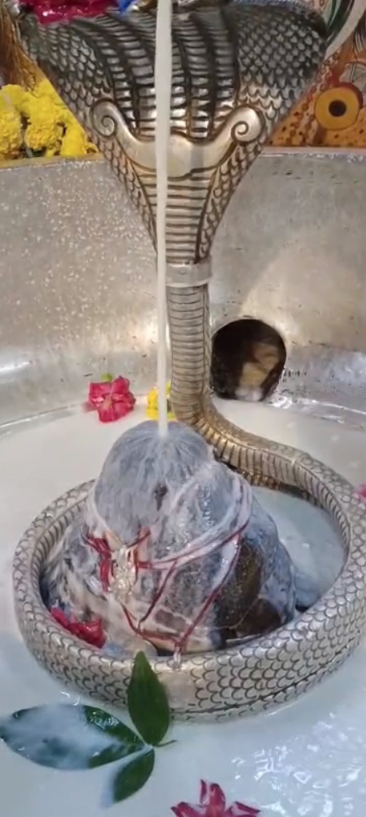 Rudrabhishek to Shree Kubereshwar Mahadev