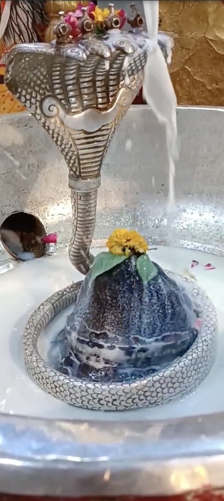 Rudrabhishek to Shree Kubereshwar Mahadev