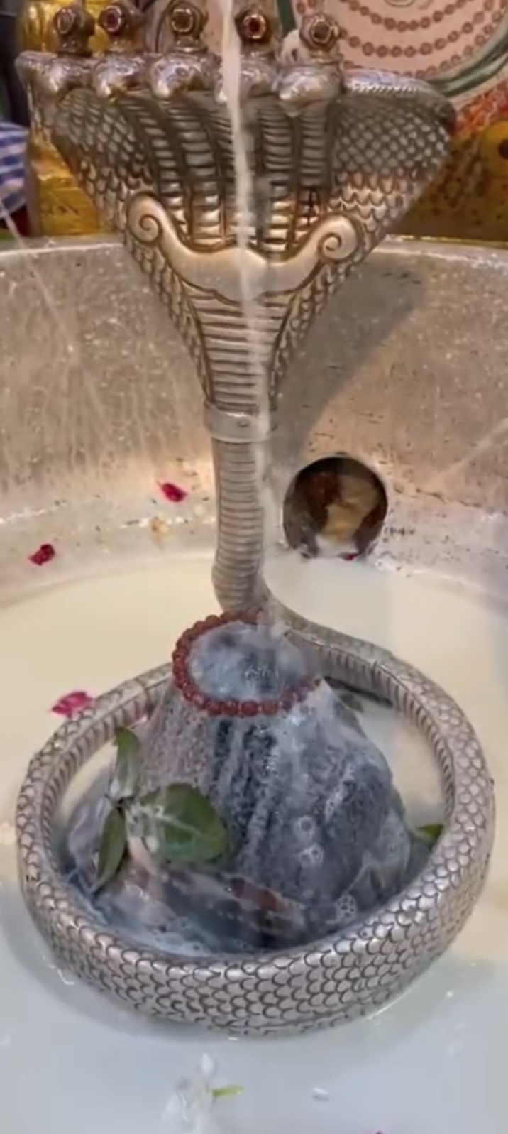 Rudrabhishek to Shree Kubereshwar Mahadev