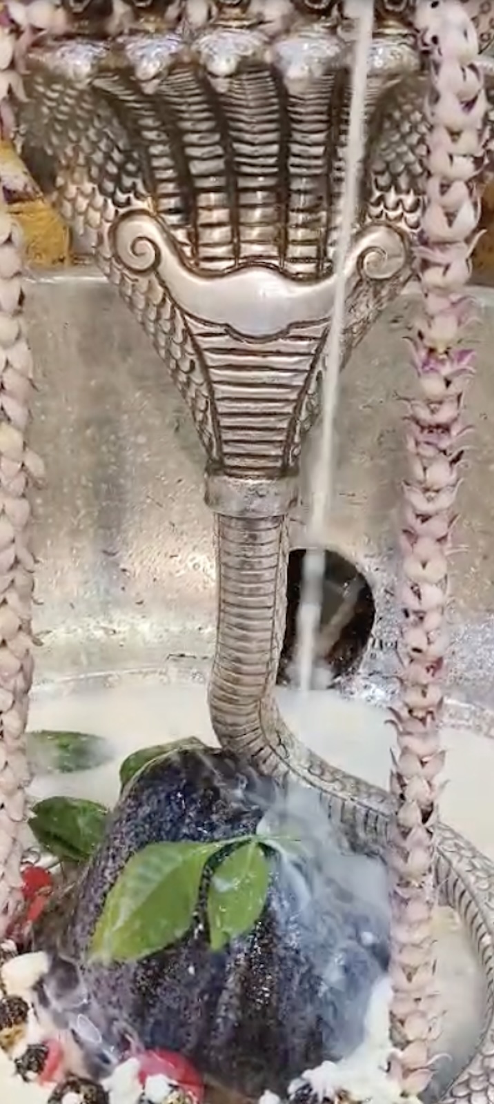Rudrabhishek to Shree Kubereshwar Mahadev