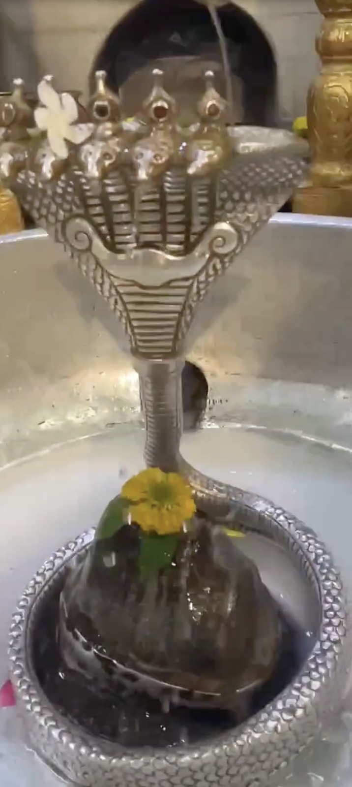 Rudrabhishek to Shree Kubereshwar Mahadev