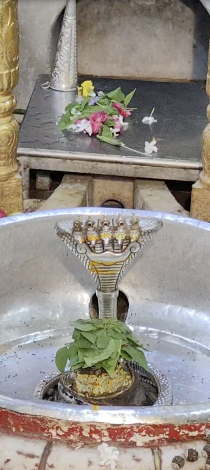 Rudrabhishek to Shree Kubereshwar Mahadev