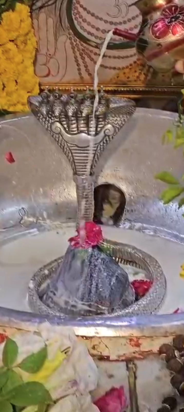 Rudrabhishek to Shree Kubereshwar Mahadev