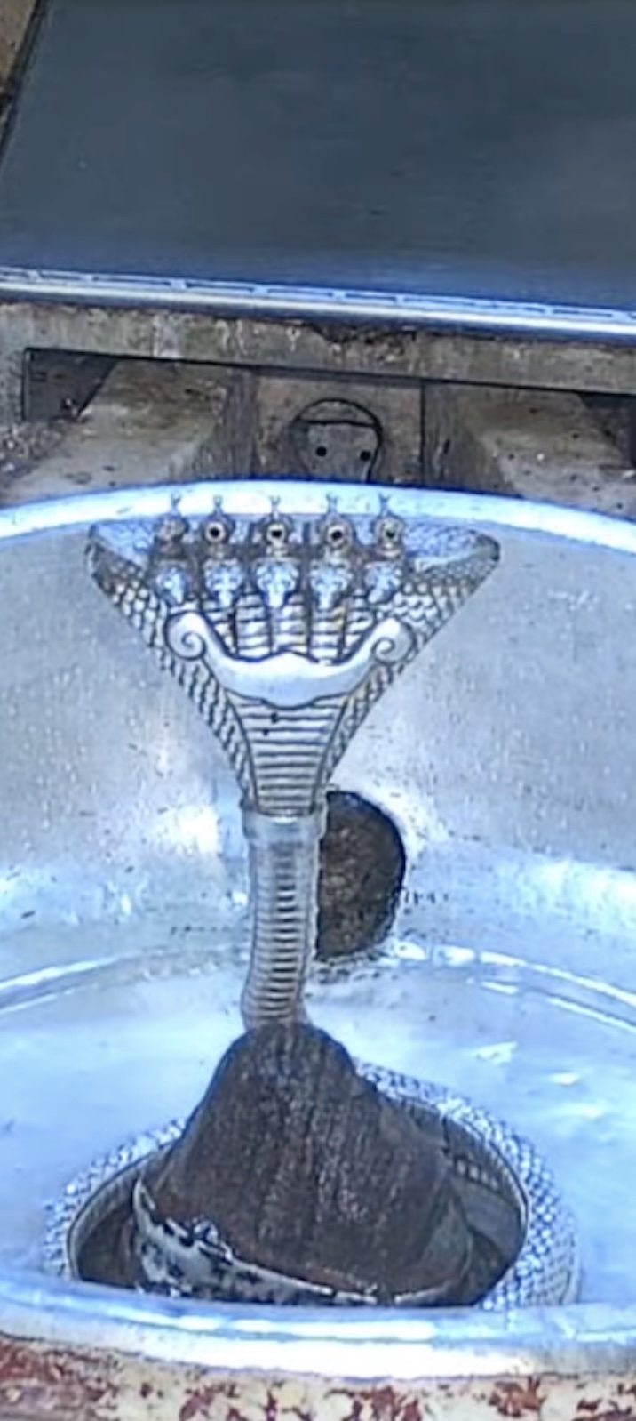 Rudrabhishek to Shree Kubereshwar Mahadev