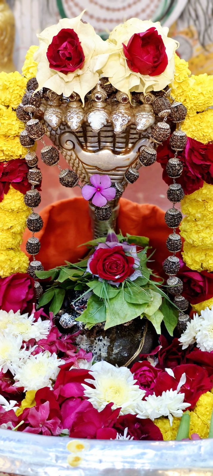 Rudrabhishek to Shree Kubereshwar Mahadev