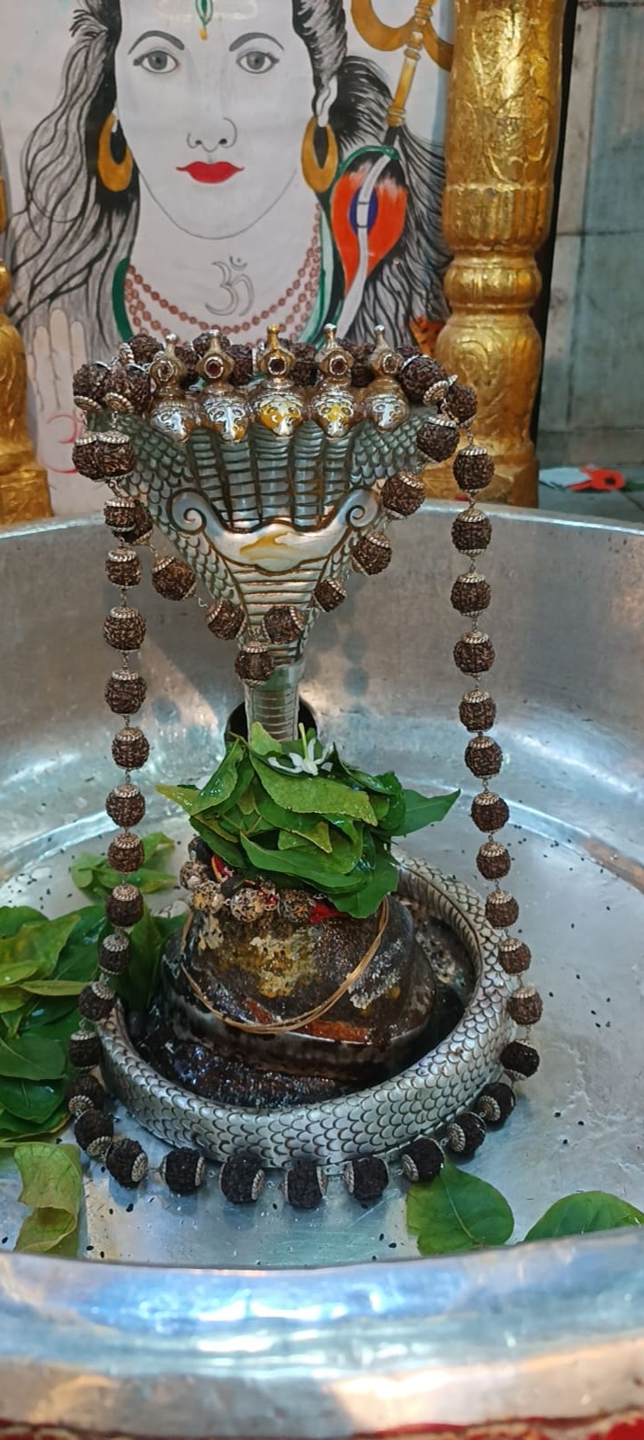 Rudrabhishek to Shree Kubereshwar Mahadev