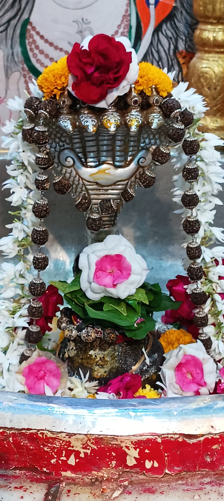 Rudrabhishek to Shree Kubereshwar Mahadev