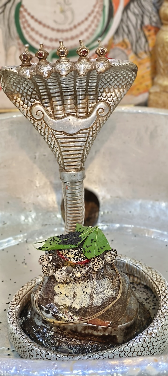 Rudrabhishek to Shree Kubereshwar Mahadev