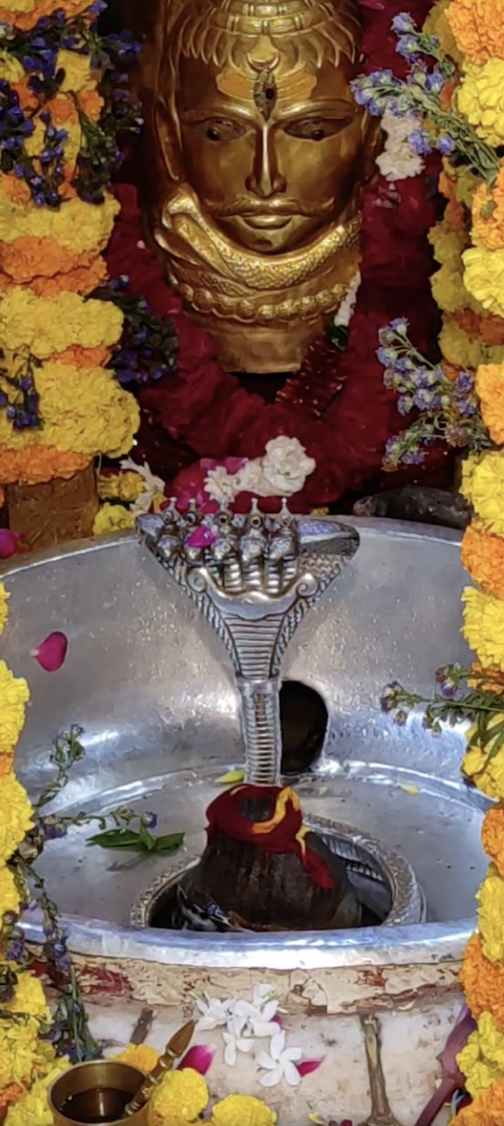 Rudrabhishek to Shree Kubereshwar Mahadev