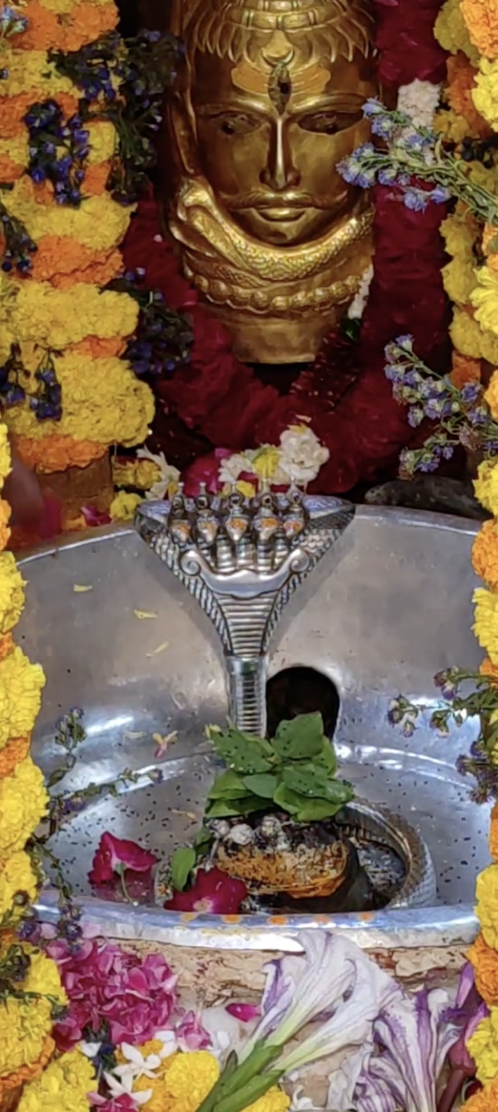 Rudrabhishek to Shree Kubereshwar Mahadev