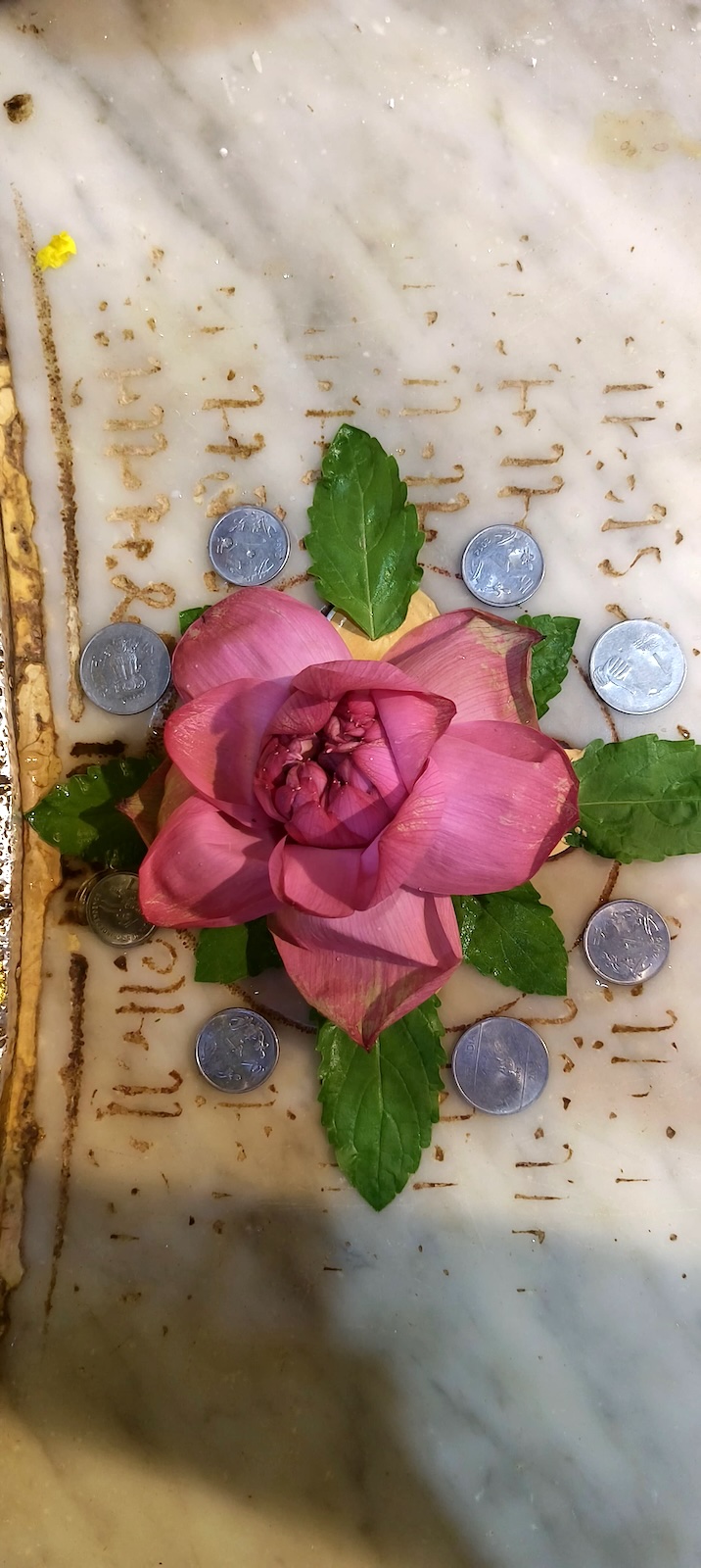 Mahalaxmi Mataji