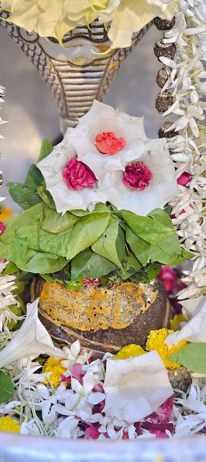 Rudrabhishek to Shree Kubereshwar Mahadev