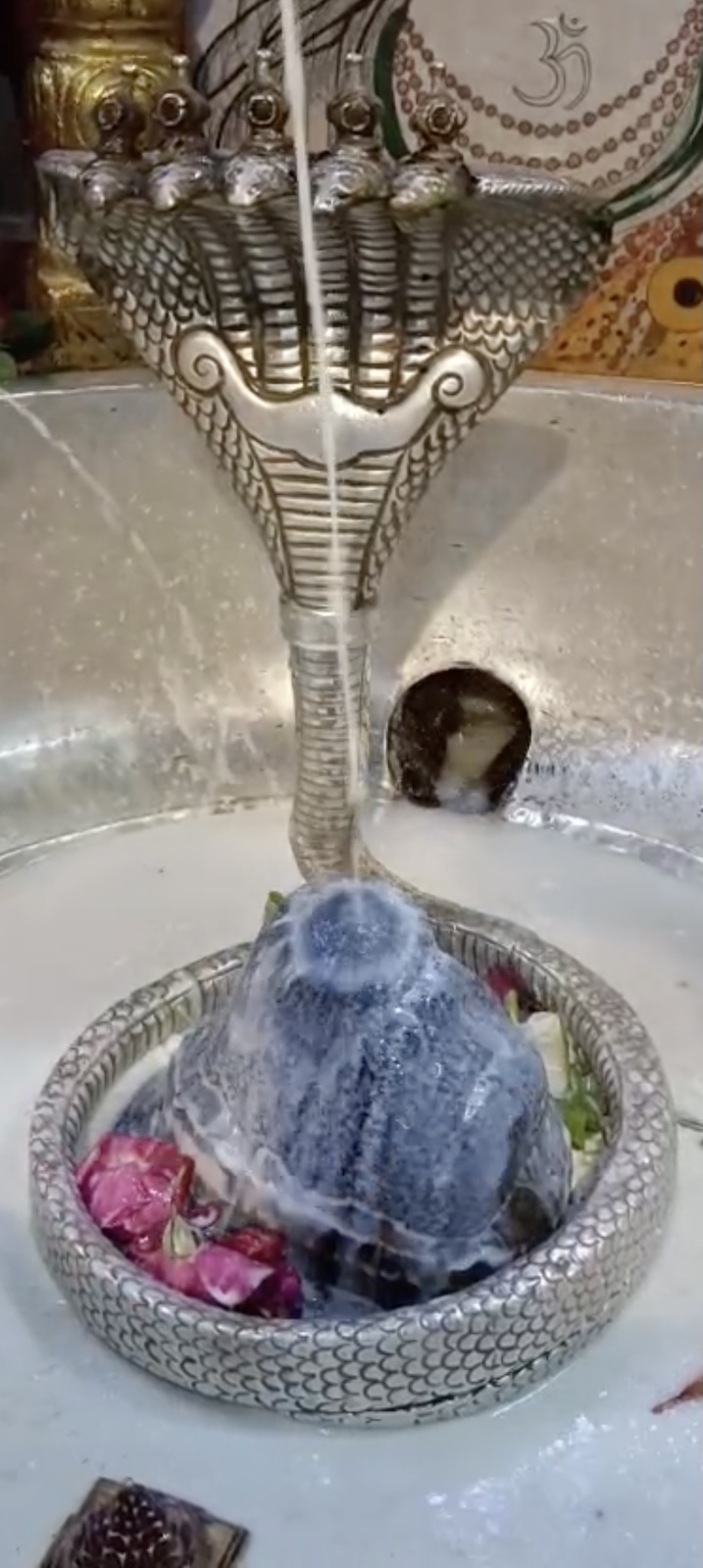 Rudrabhishek to Shree Kubereshwar Mahadev