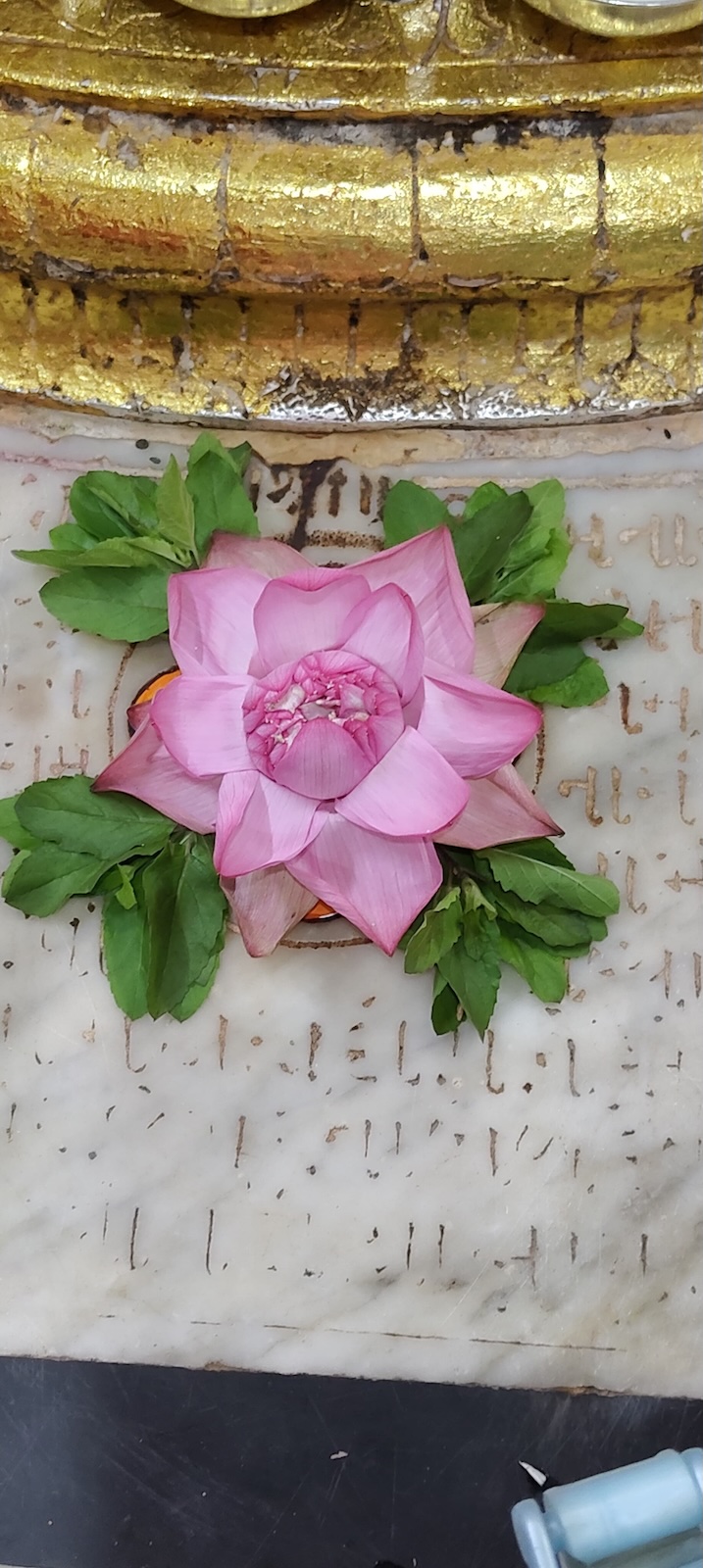 Mahalaxmi Mataji