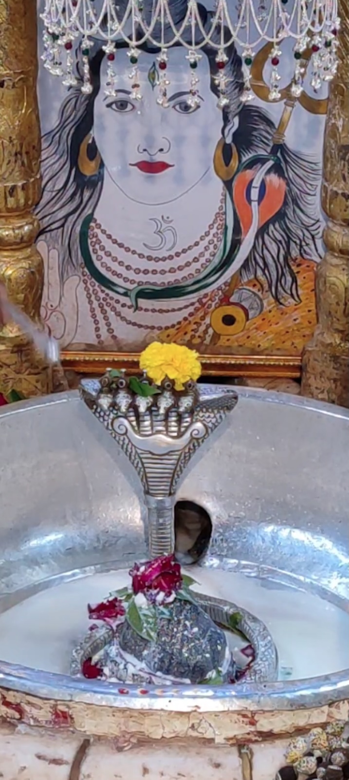 Rudrabhishek to Shree Kubereshwar Mahadev