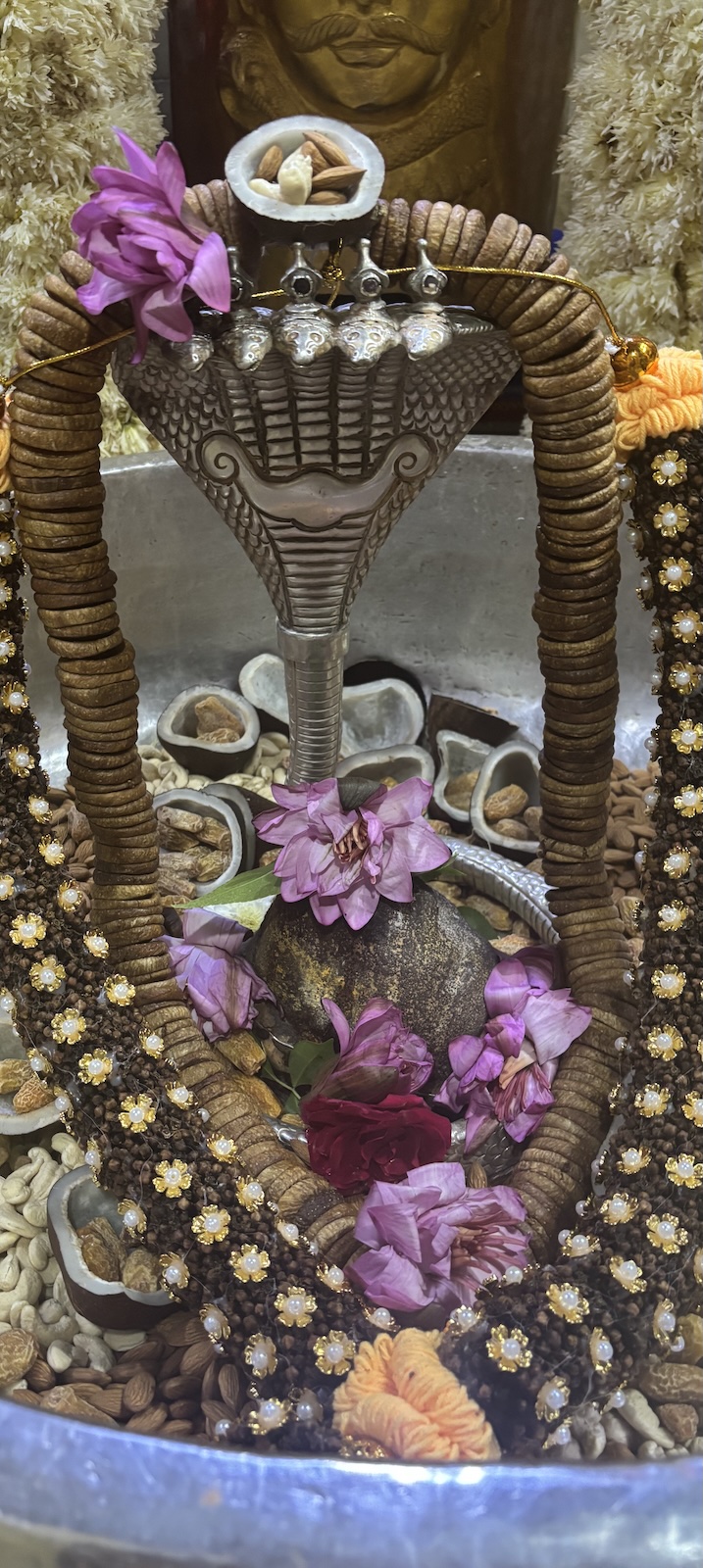 Rudrabhishek to Shree Kubereshwar Mahadev