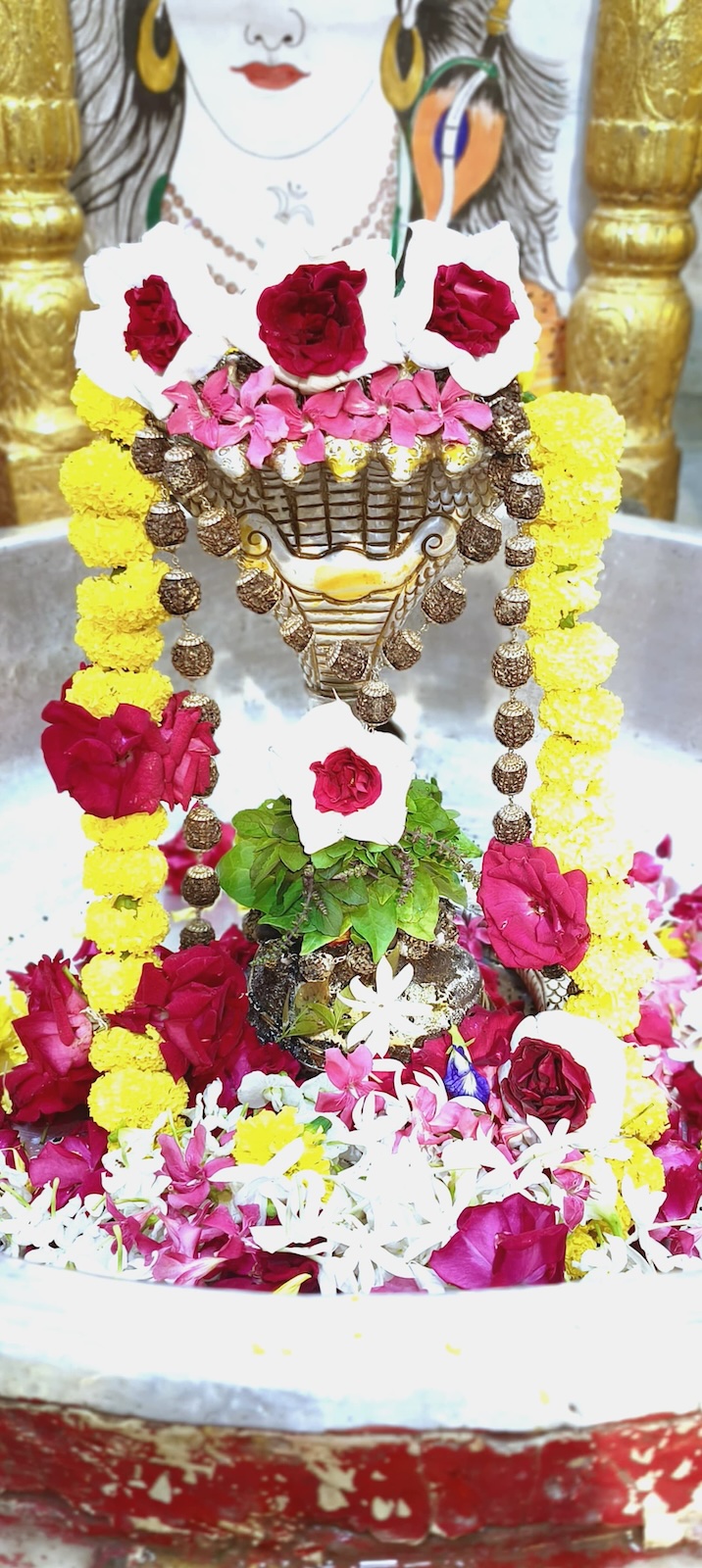 Rudrabhishek to Shree Kubereshwar Mahadev