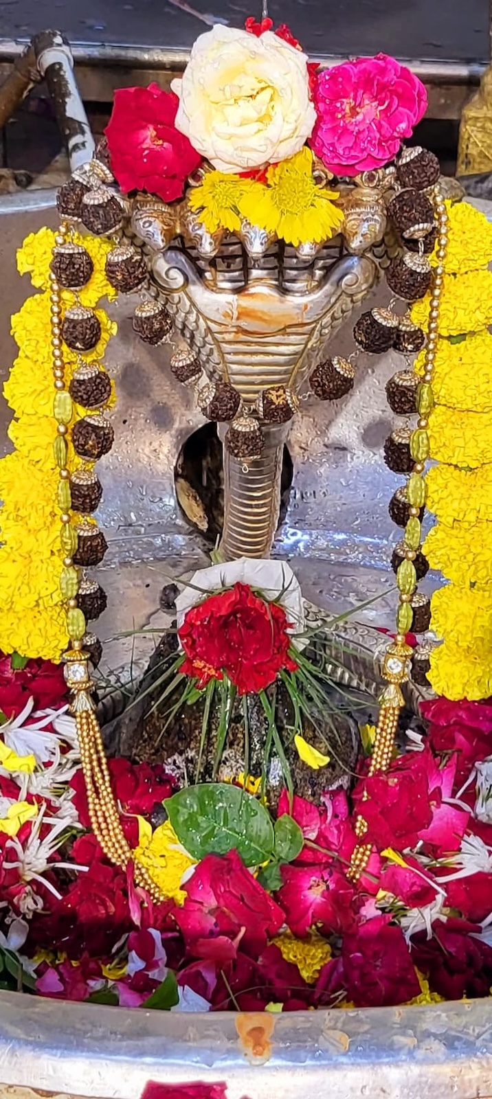 Shangar Darshan Shree Kubereshwar Mahadev