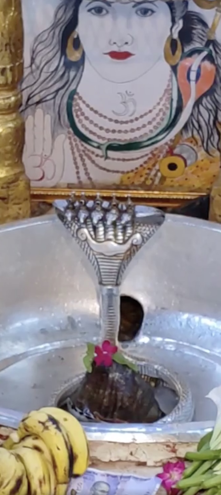 Rudrabhishek to Shree Kubereshwar Mahadev