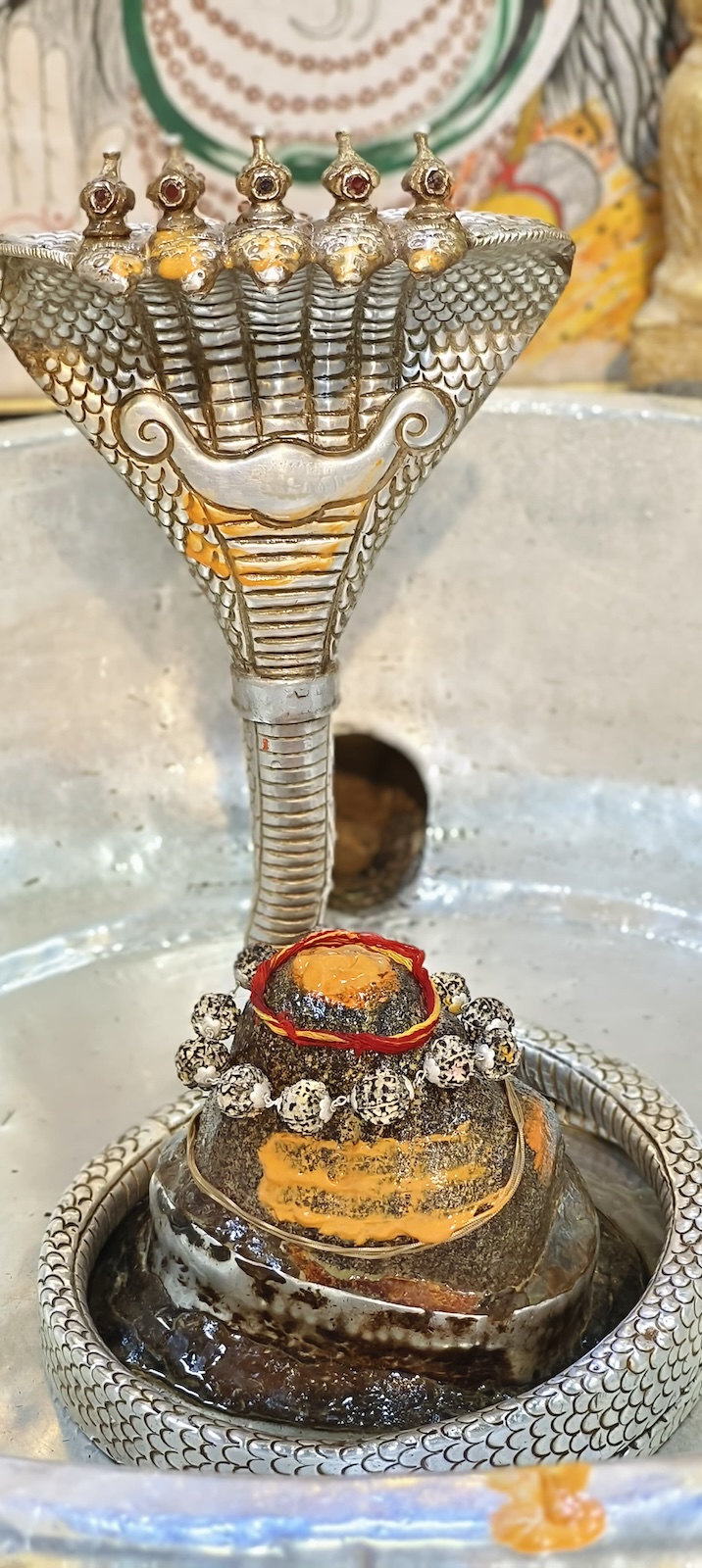 Rudrabhishek to Shree Kubereshwar Mahadev